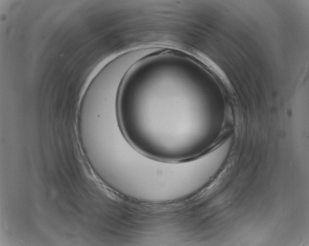 X0000078290956200611101105