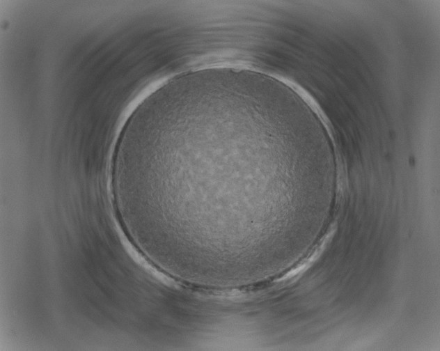 X0000078290957200611101105