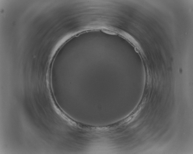 X0000078290958200611101105