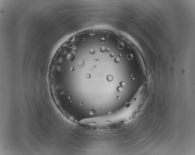 X0000078290959200611101105