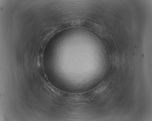 X0000078290962200611101104