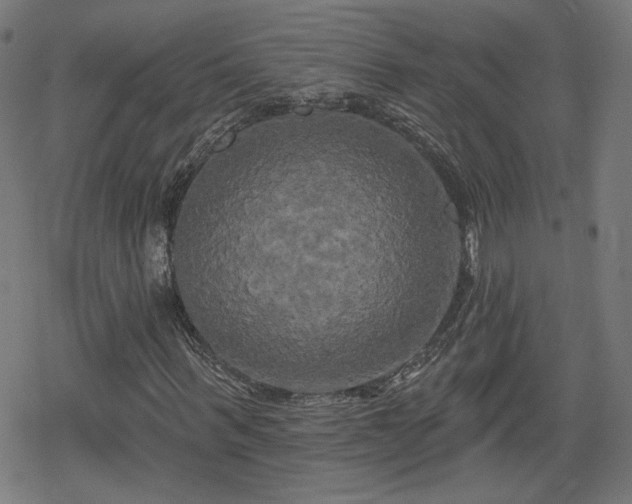 X0000078290963200611101104