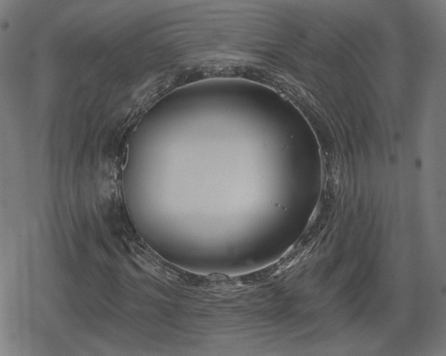 X0000078290964200611101104