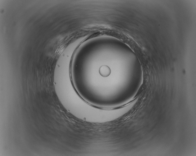 X0000078290965200611101104