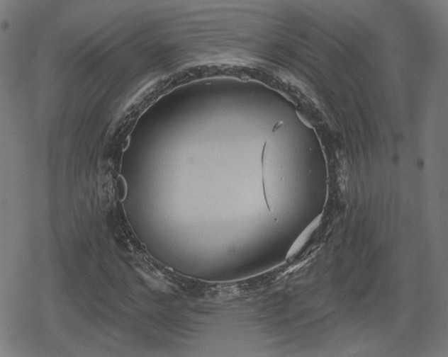 X0000078290968200611101104