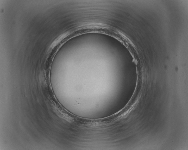 X0000078290970200611101104