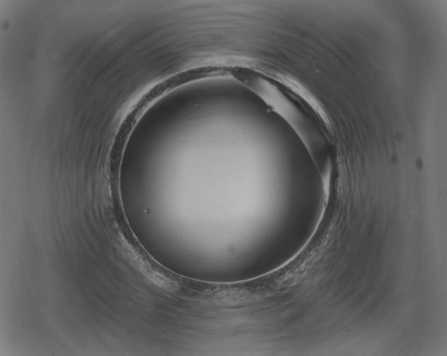 X0000078290972200611101104