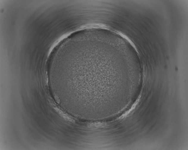 X0000078290973200611101104