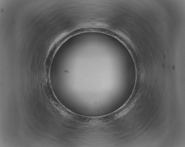 X0000078290974200611101104