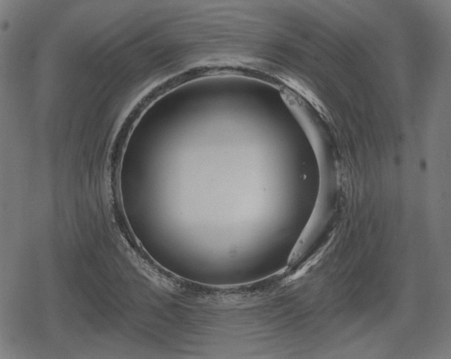 X0000078290976200611101104