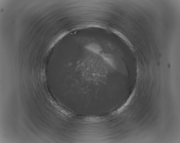 X0000078290977200611101104