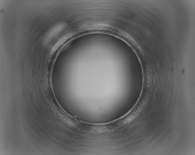 X0000078290978200611101104