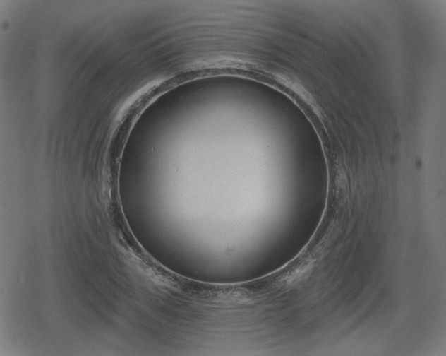 X0000078290979200611101104