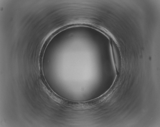 X0000078290980200611101104