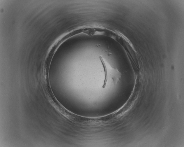 X0000078290981200611101104