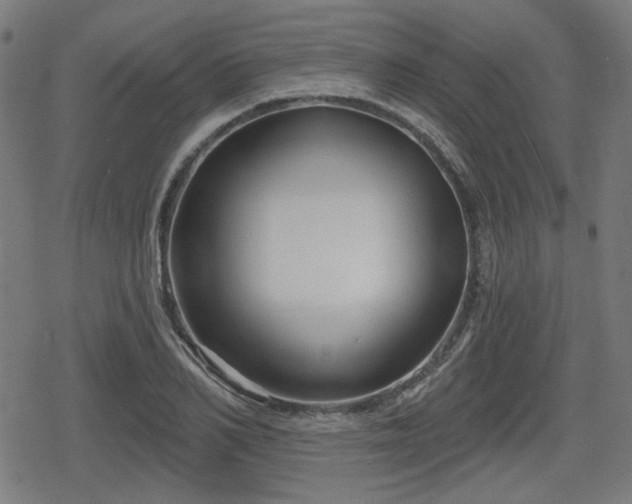 X0000078290982200611101104