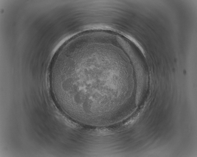 X0000078290983200611101104