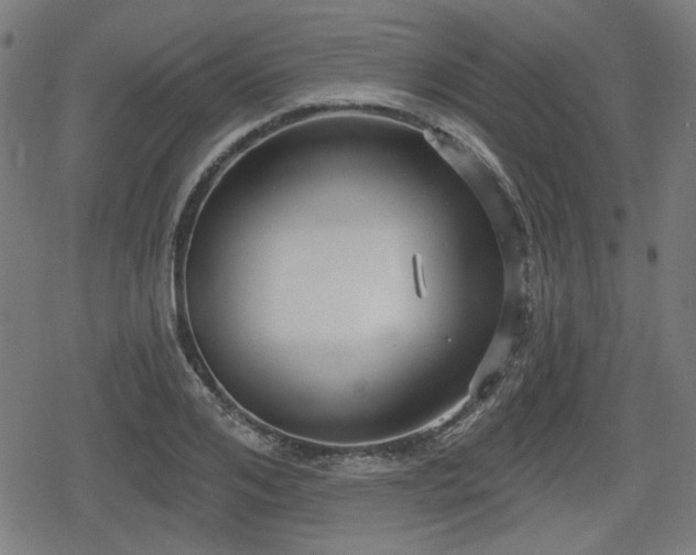 X0000078290984200611101104