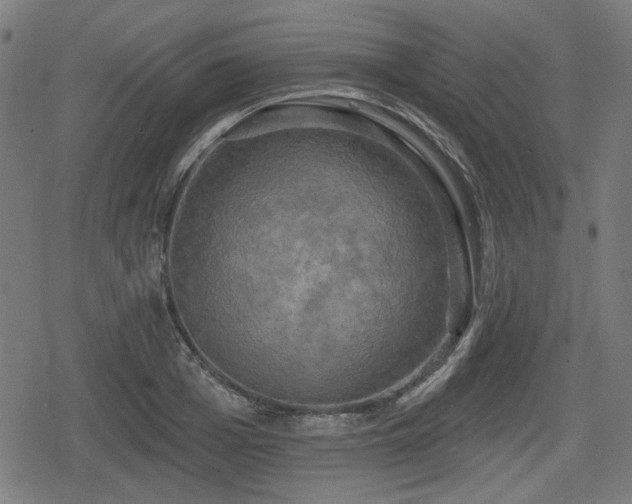 X0000078290985200611101104