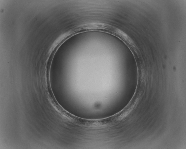 X0000078290986200611101104