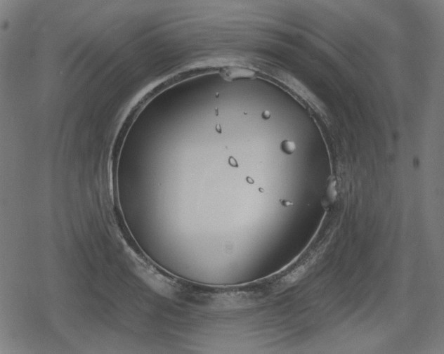 X0000078290988200611101104