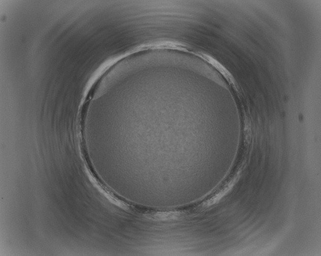 X0000078290989200611101104