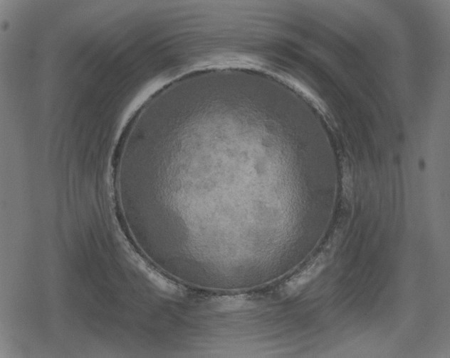 X0000078290990200611101104