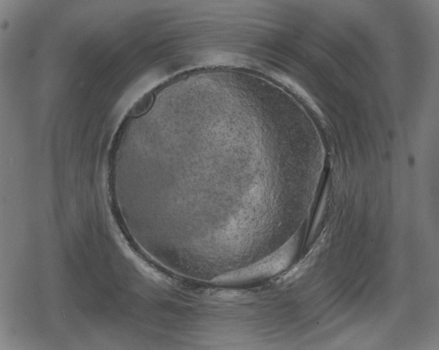 X0000078290991200611101104