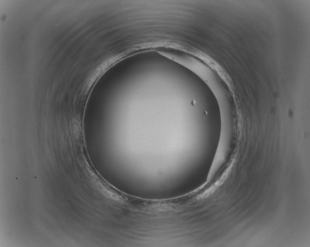 X0000078290993200611101104