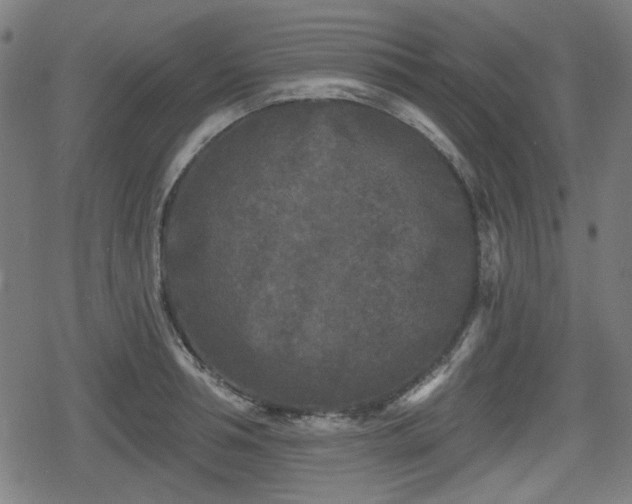 X0000078290994200611101104