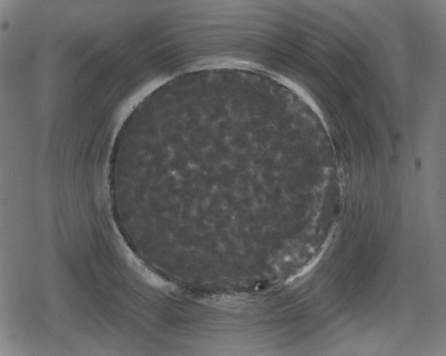 X0000078290995200611101104