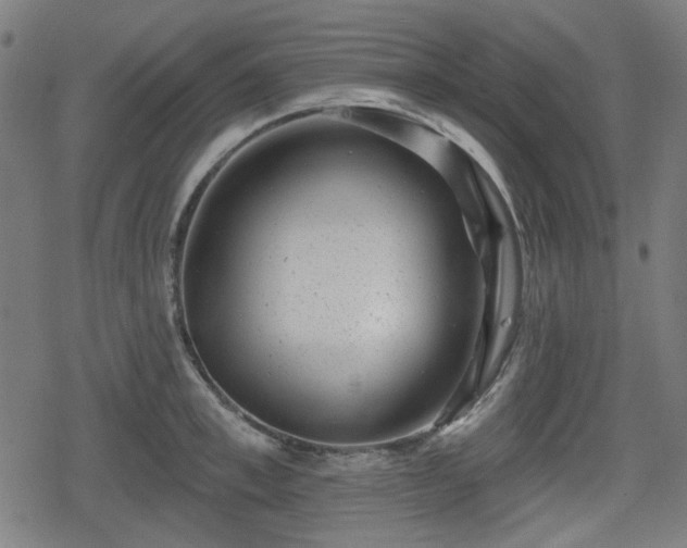 X0000078290997200611101104