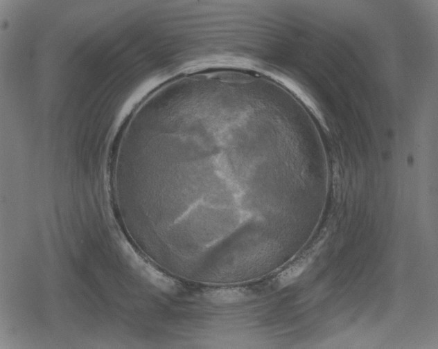 X0000078290998200611101104