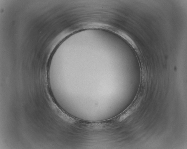 X0000078291000200611101104