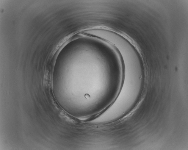 X0000078291001200611101103