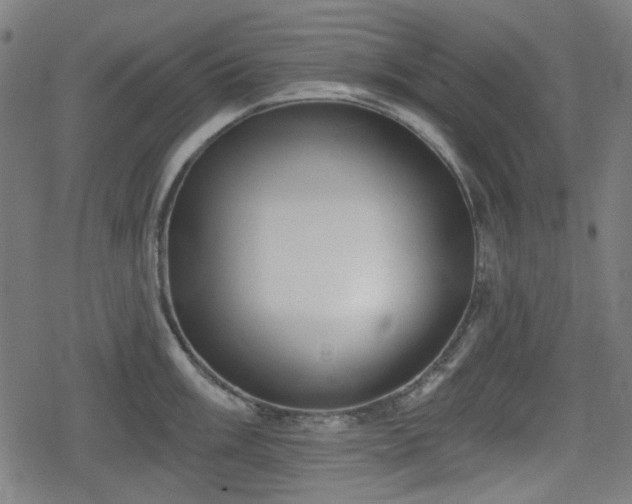 X0000078291003200611101103