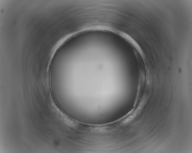 X0000078291004200611101103