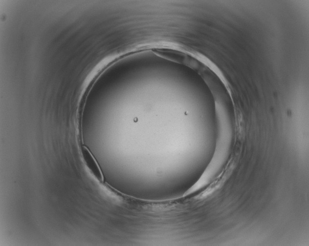 X0000078291005200611101103