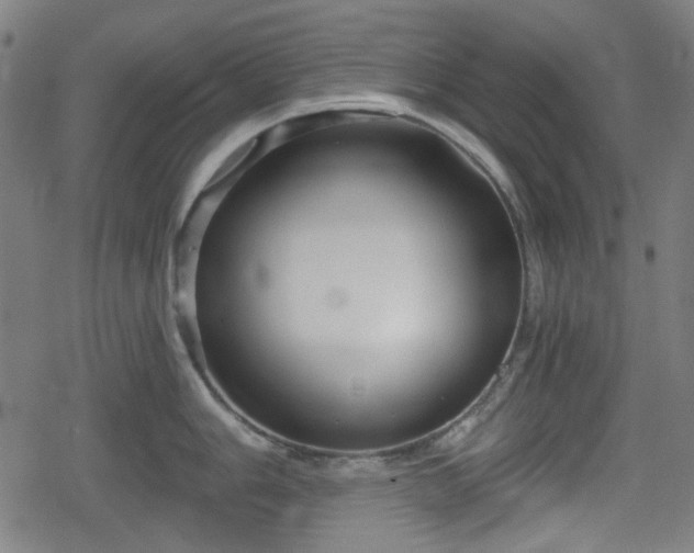 X0000078291006200611101103