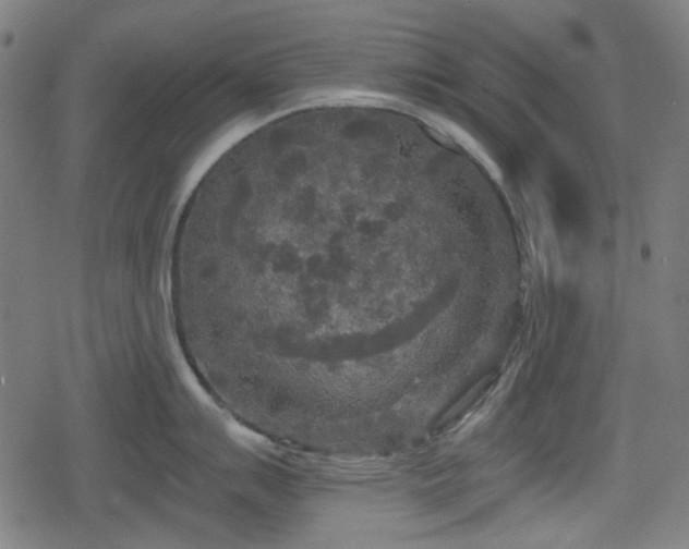 X0000078291007200611101103