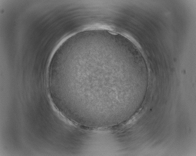 X0000078291008200611101103