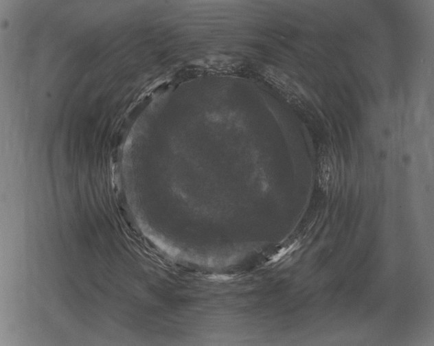 X0000078291010200611101103