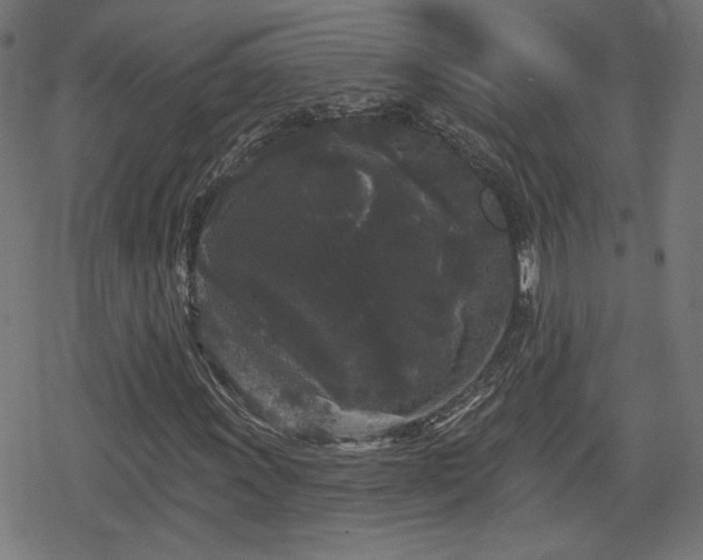 X0000078291011200611101103