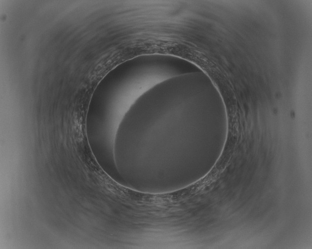 X0000078291013200611101103