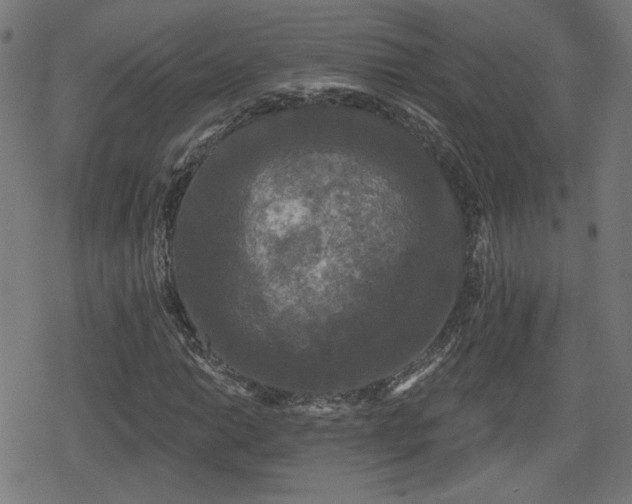 X0000078291014200611101103