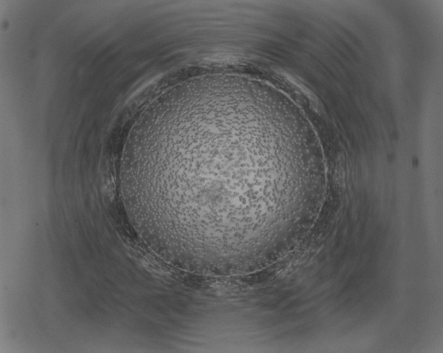 X0000078291015200611101103