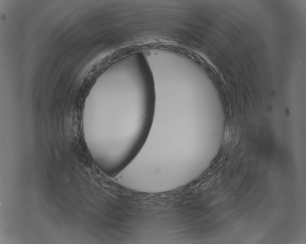 X0000078291016200611101103