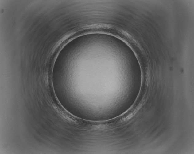 X0000078291017200611101103