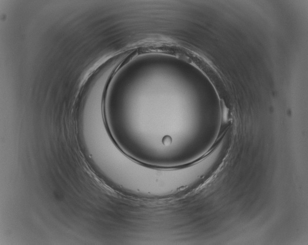 X0000078291018200611101103