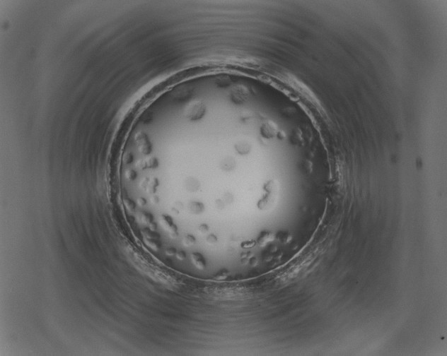 X0000078291020200611101103